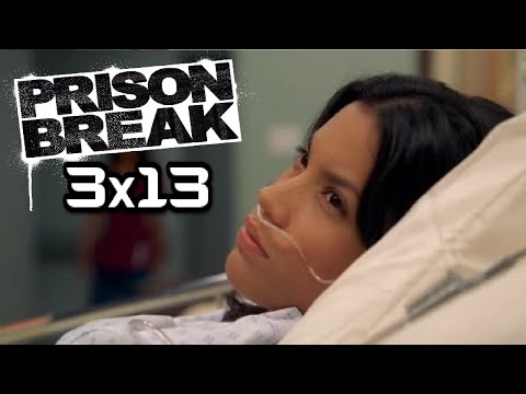 download prison break season 3 episode 13 torrent